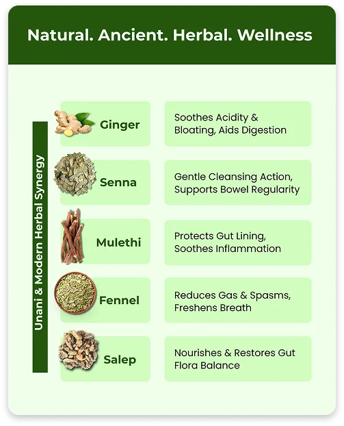 Gut Wellness
