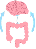 Gut axis