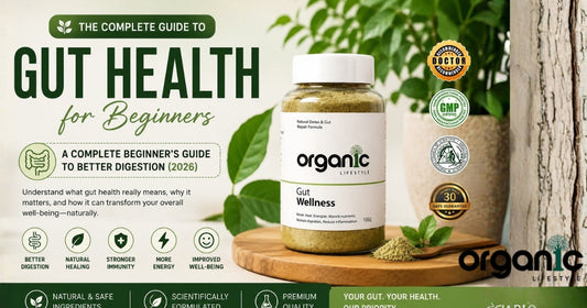 What Is Gut Health? A Complete Beginner's Guide to Better Digestion (2026) organic Lifestyle