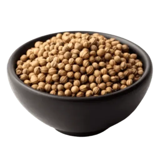 Coriander
