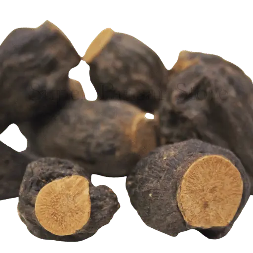 Orchid Root